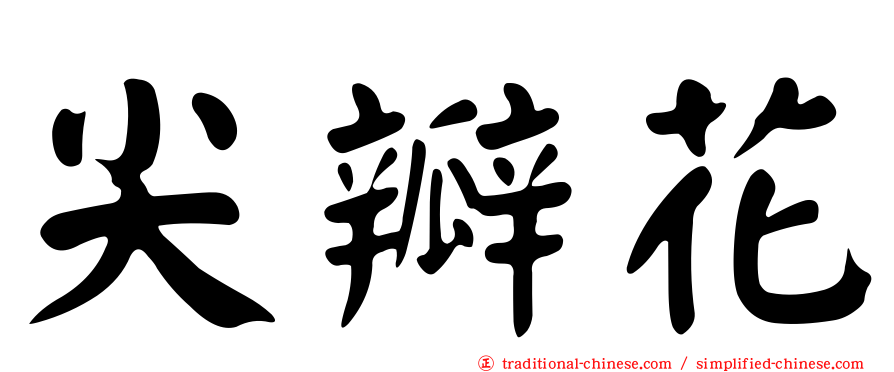 尖瓣花
