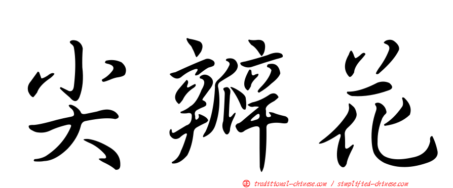 尖瓣花