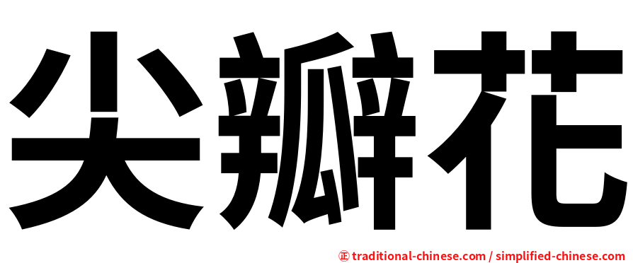 尖瓣花