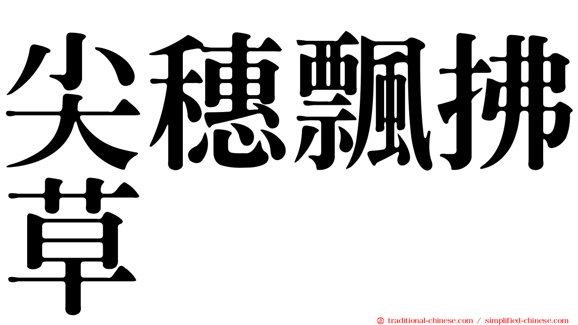 尖穗飄拂草