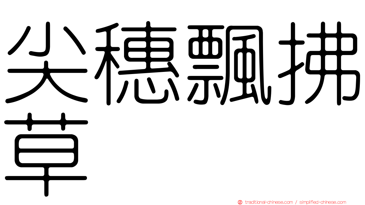 尖穗飄拂草
