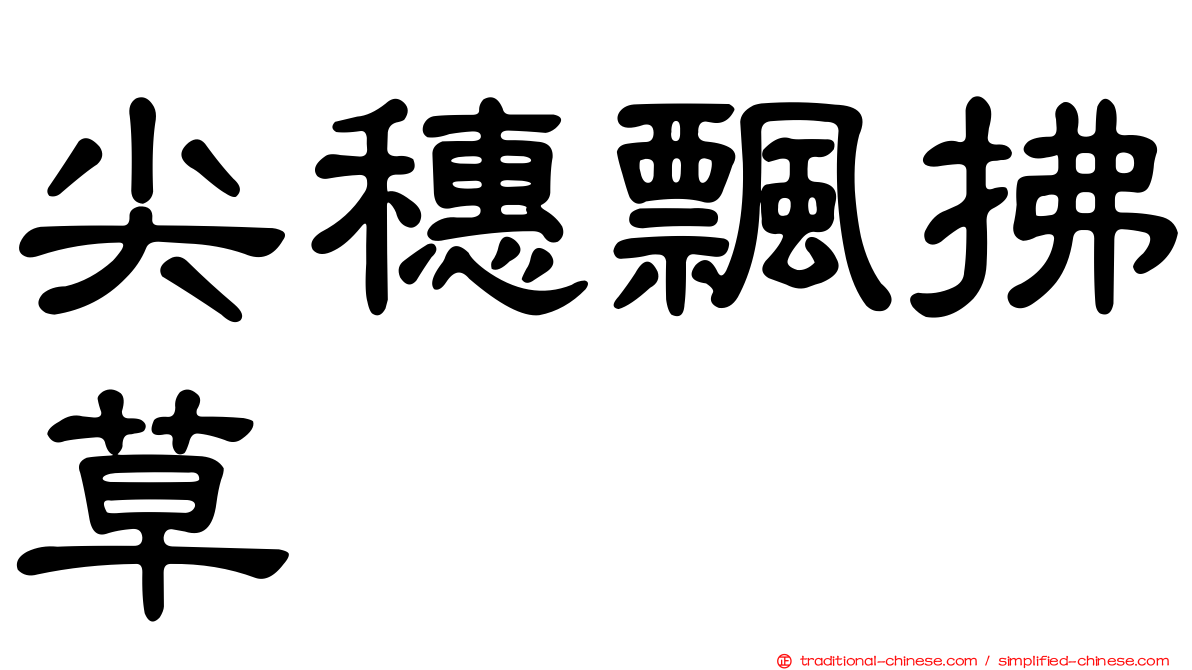 尖穗飄拂草
