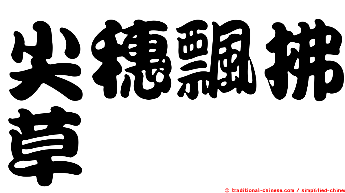 尖穗飄拂草