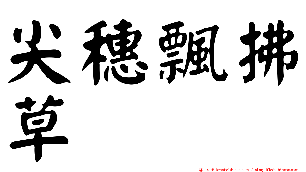 尖穗飄拂草