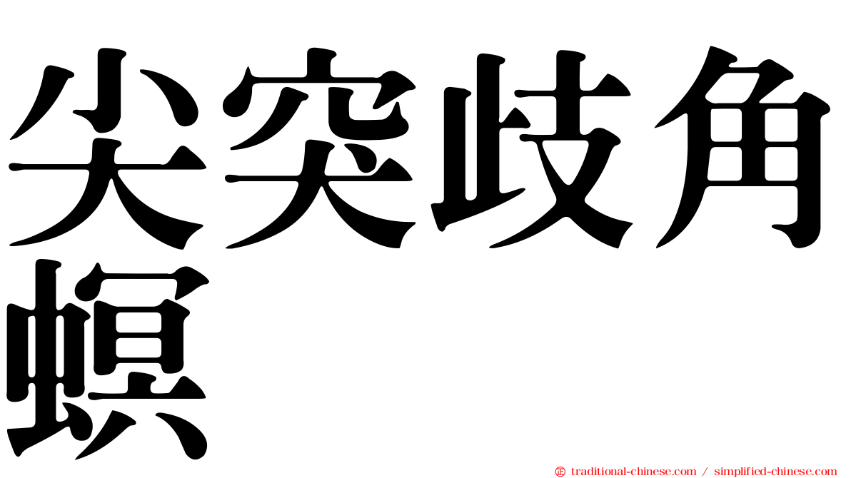 尖突歧角螟