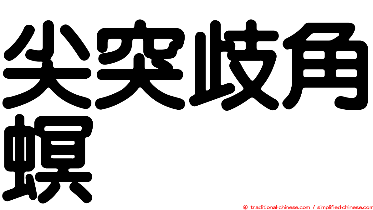 尖突歧角螟