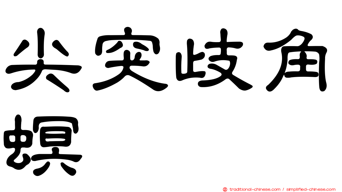 尖突歧角螟