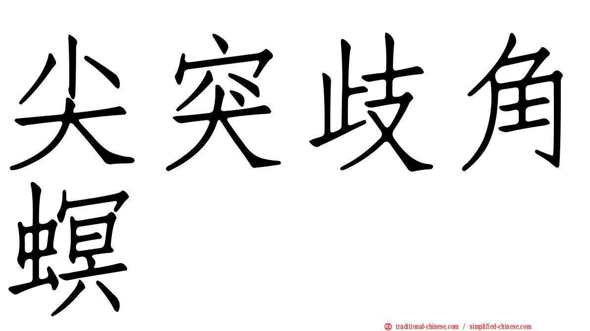 尖突歧角螟