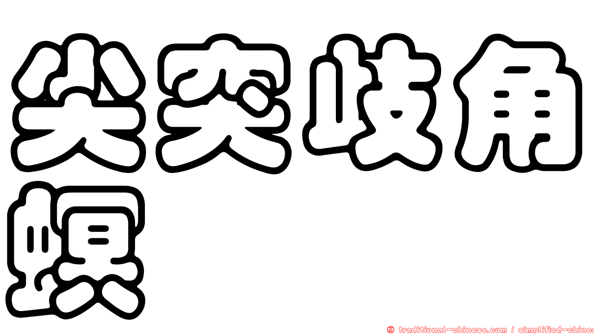 尖突歧角螟