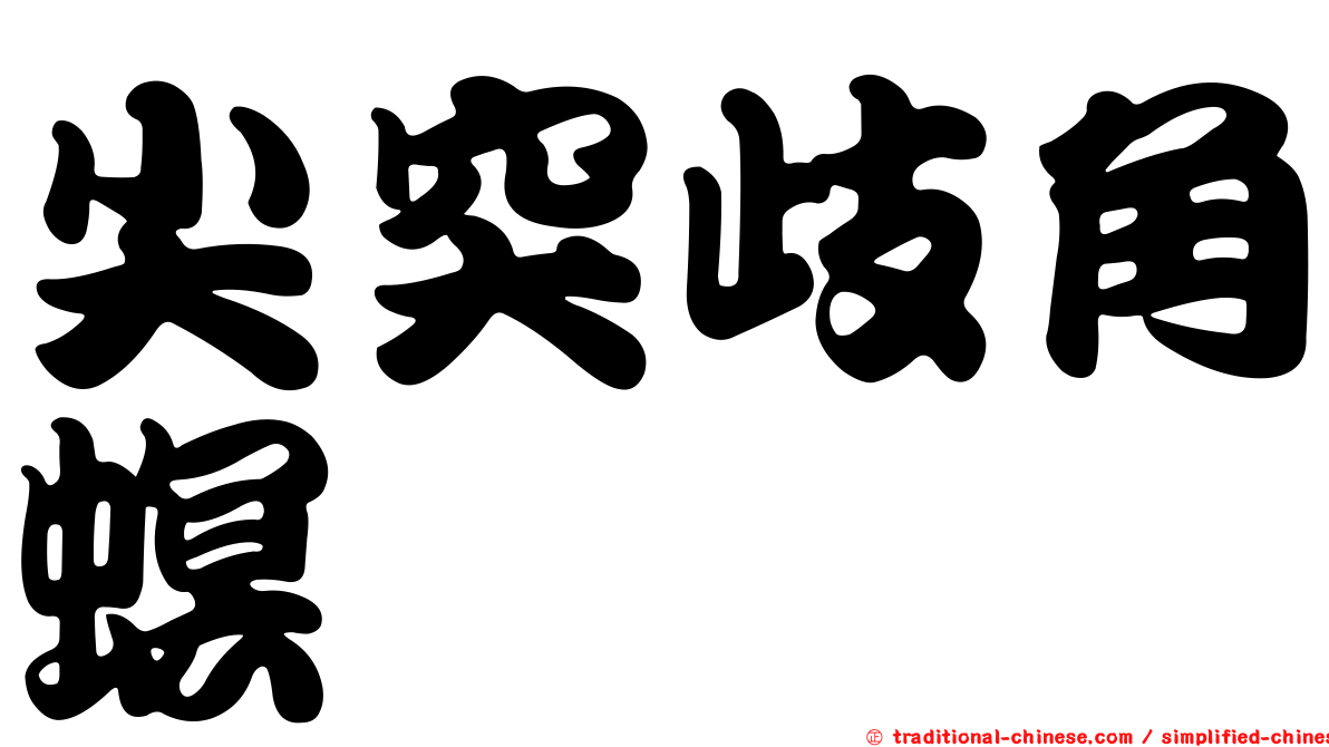 尖突歧角螟