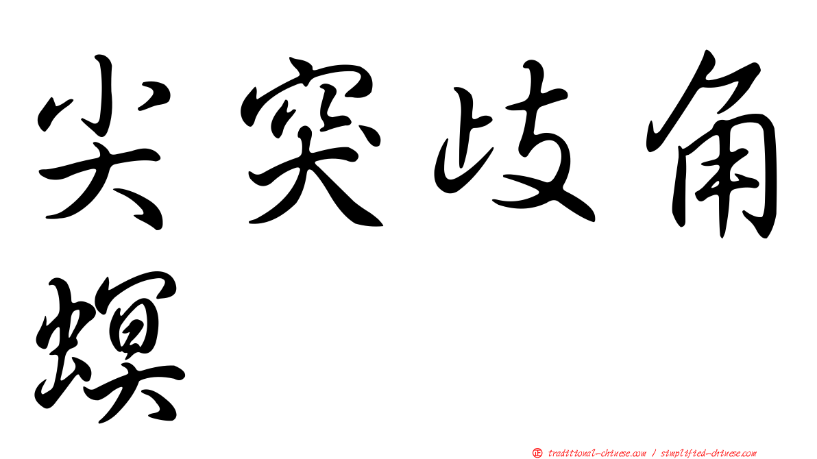 尖突歧角螟