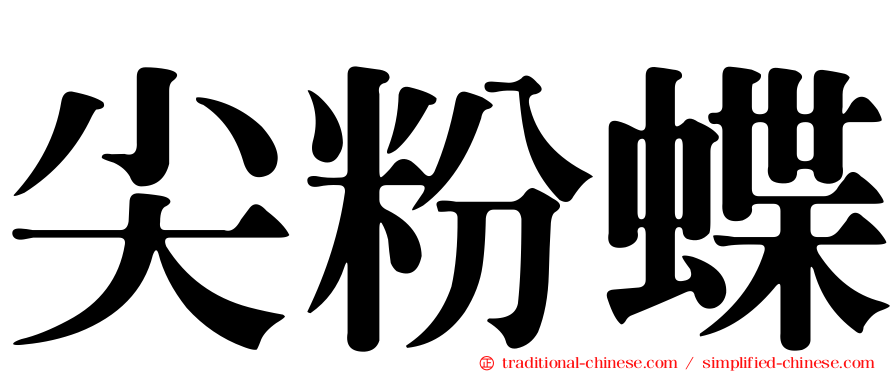 尖粉蝶