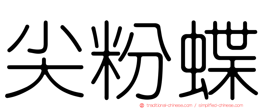尖粉蝶