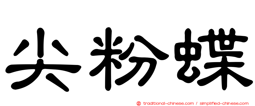 尖粉蝶