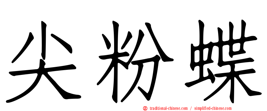 尖粉蝶