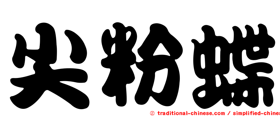 尖粉蝶