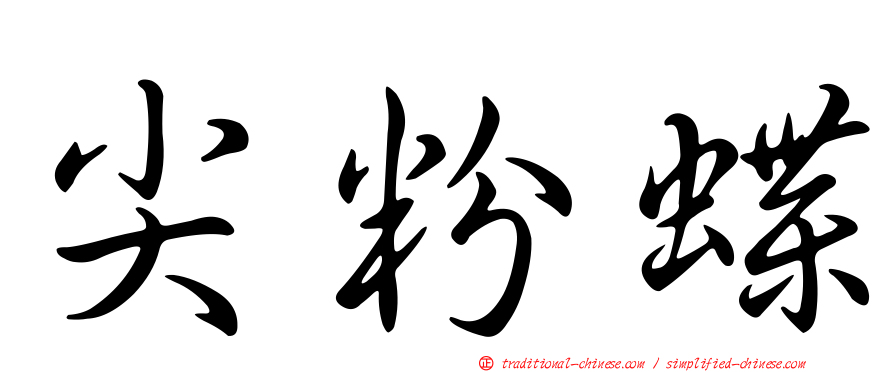 尖粉蝶