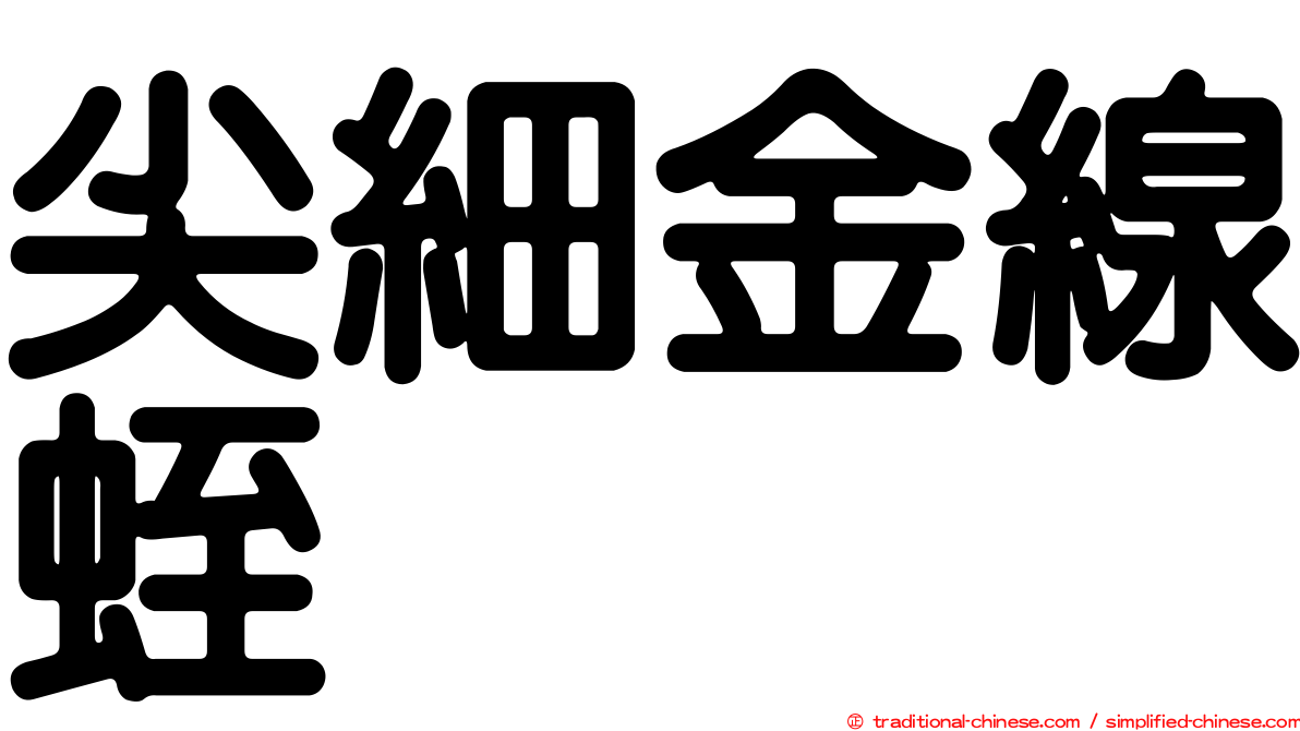 尖細金線蛭