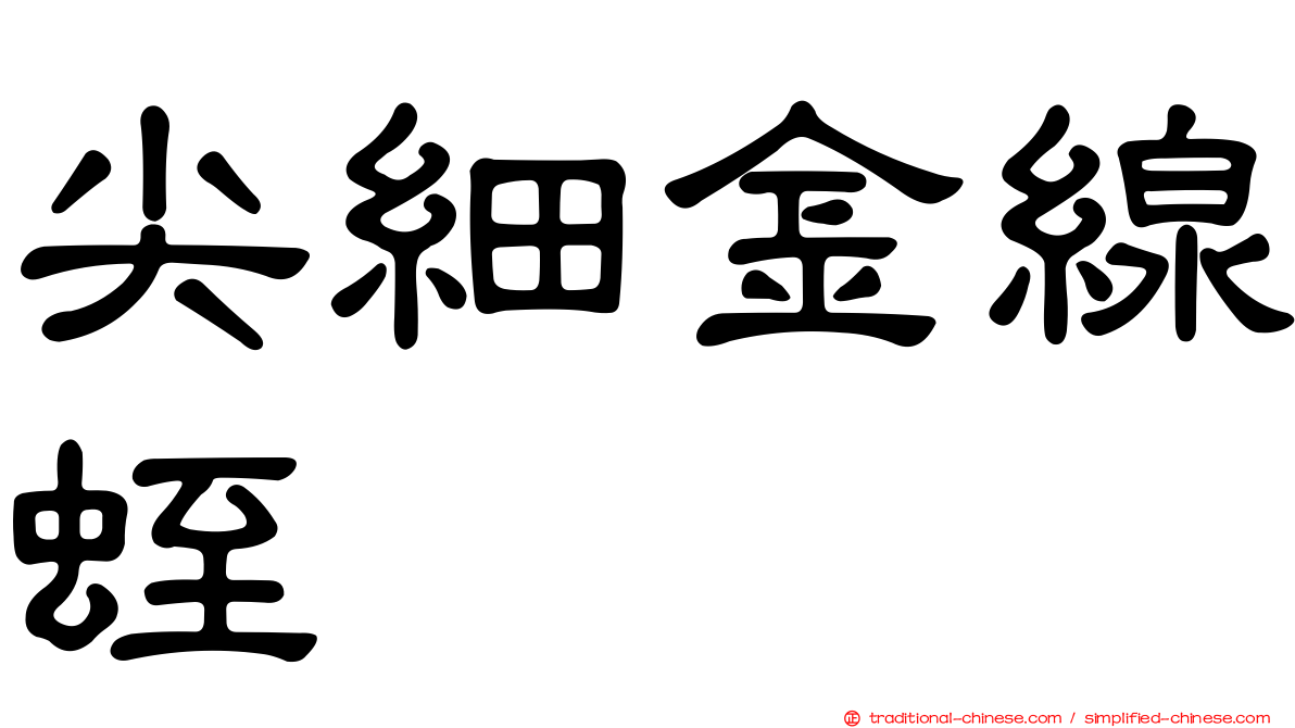 尖細金線蛭