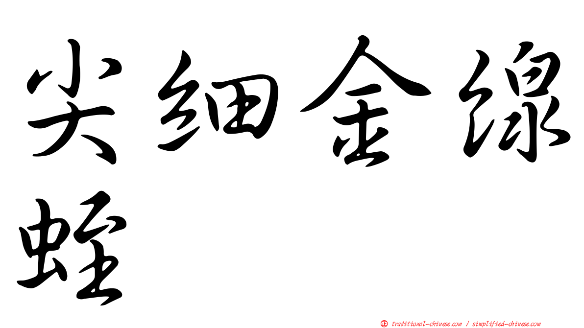 尖細金線蛭