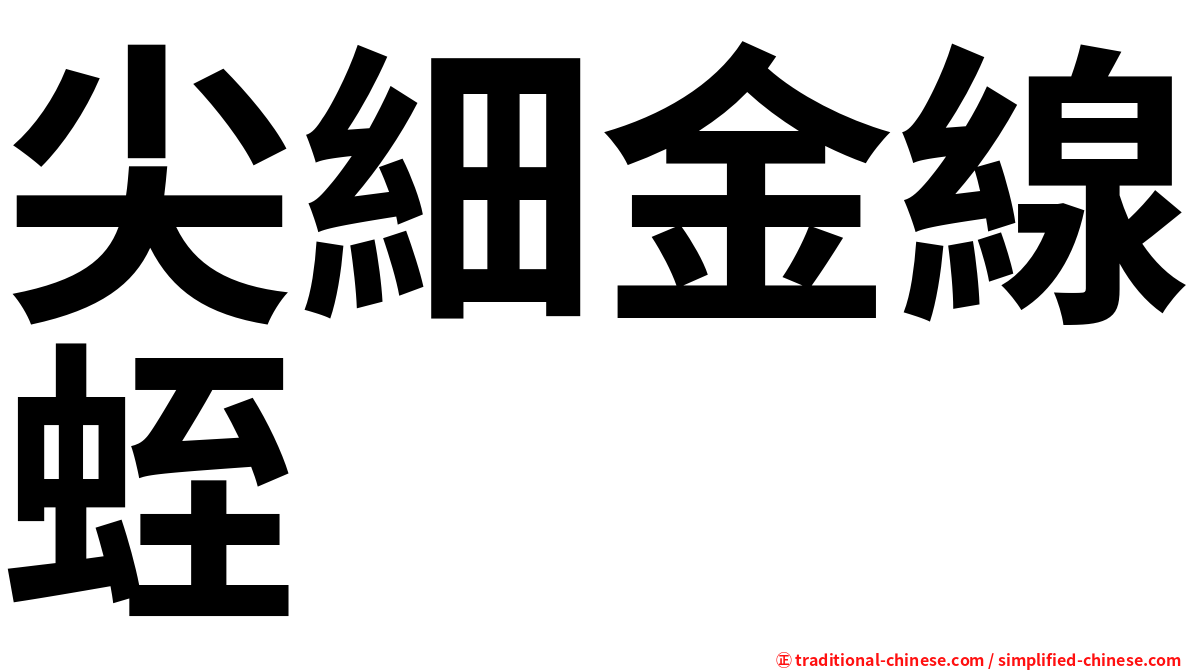 尖細金線蛭