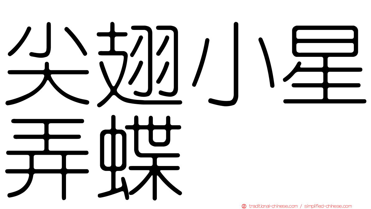 尖翅小星弄蝶
