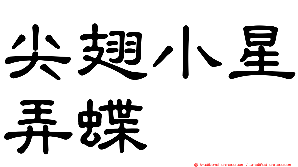 尖翅小星弄蝶