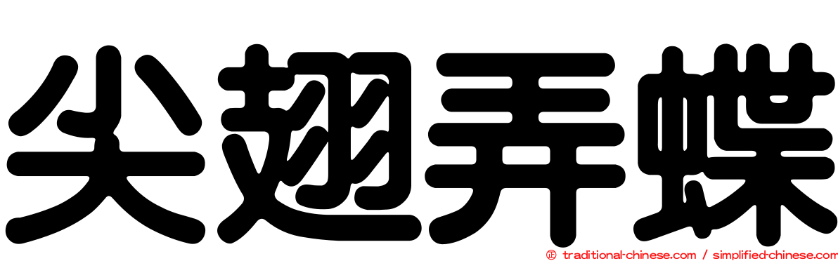 尖翅弄蝶