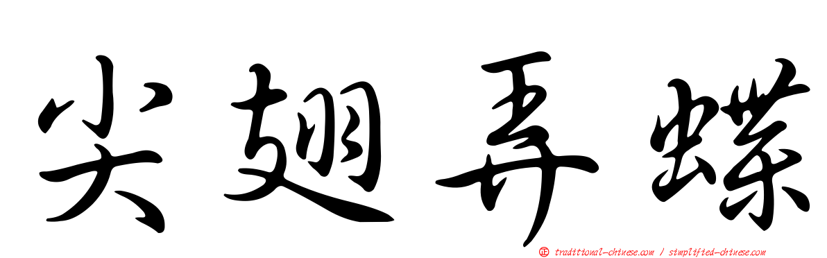 尖翅弄蝶