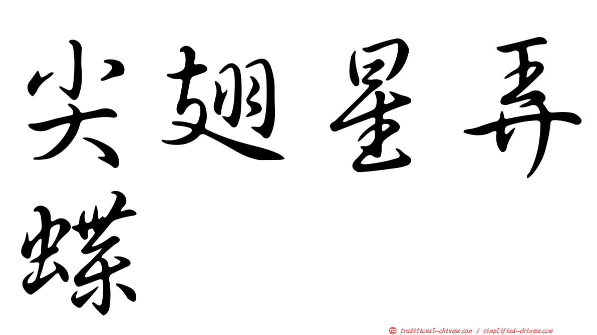 尖翅星弄蝶