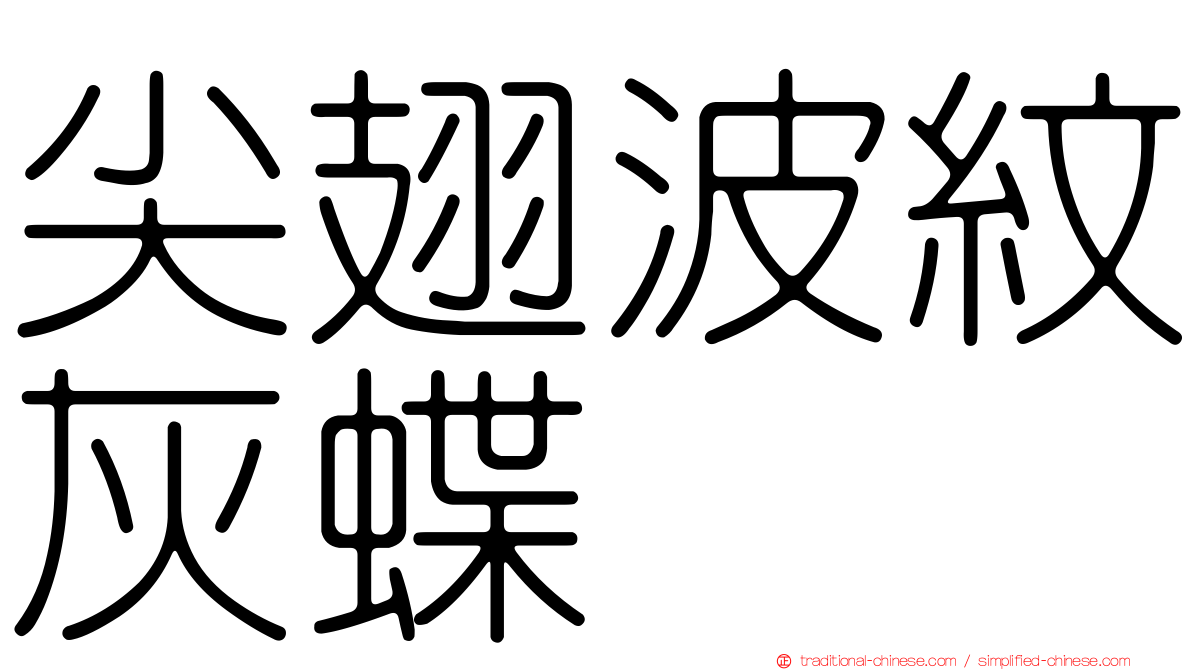 尖翅波紋灰蝶
