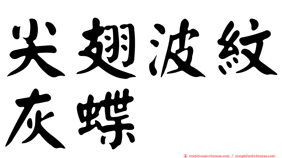 尖翅波紋灰蝶