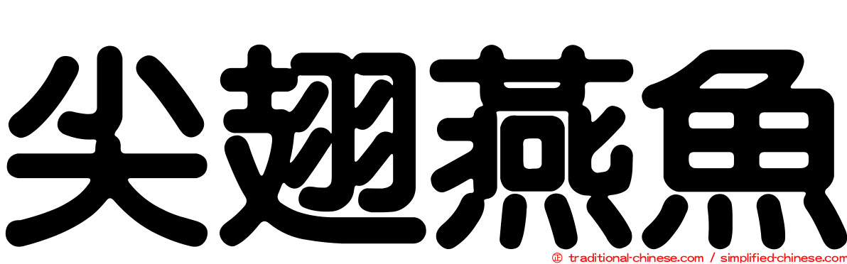 尖翅燕魚