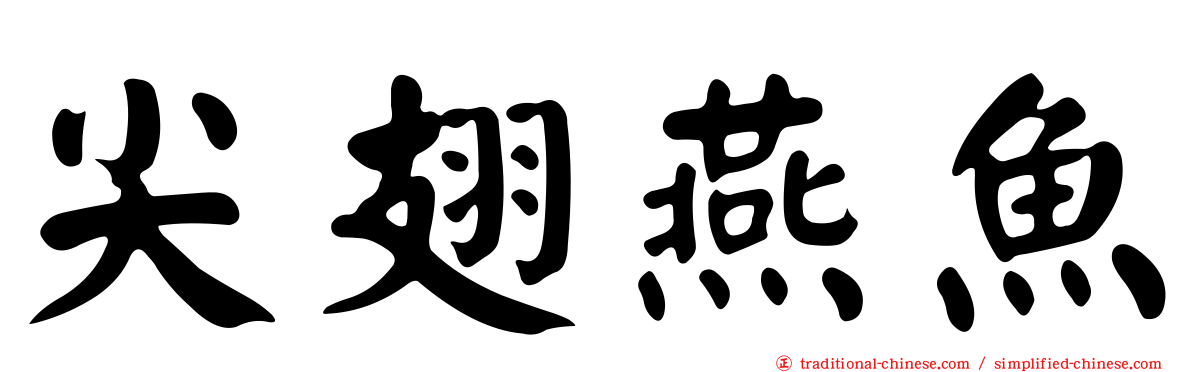 尖翅燕魚