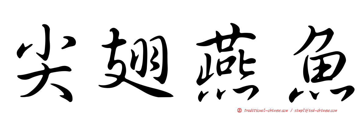 尖翅燕魚