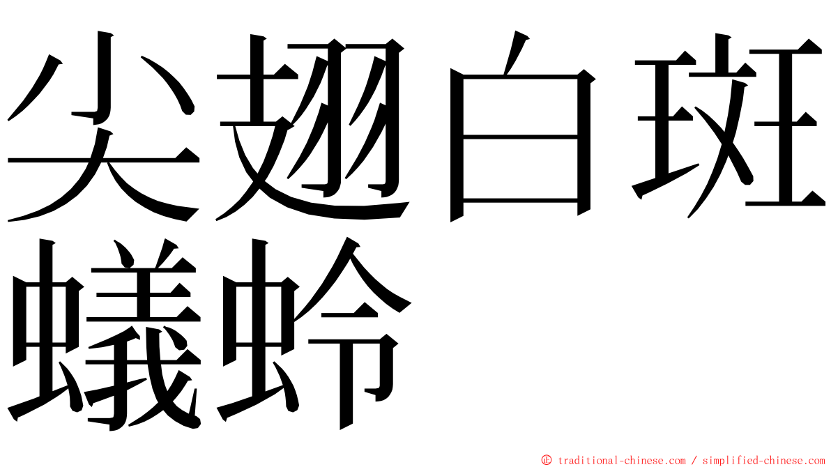 尖翅白斑蟻蛉 ming font