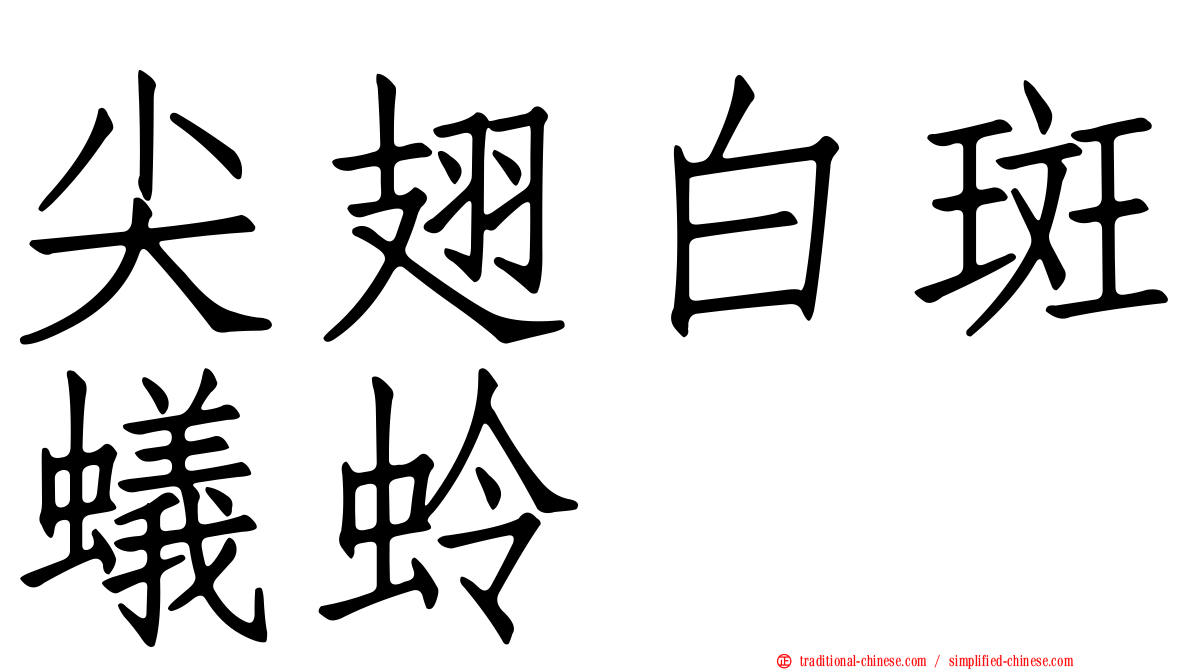 尖翅白斑蟻蛉