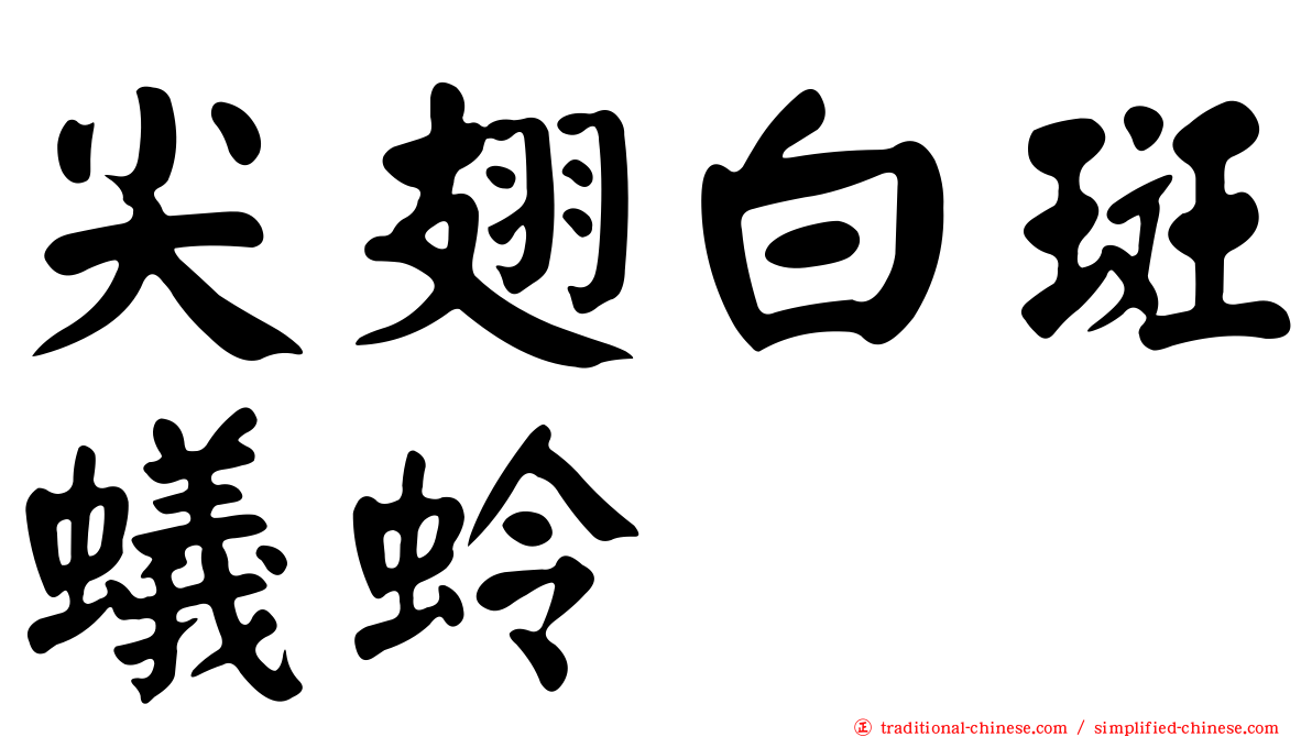 尖翅白斑蟻蛉