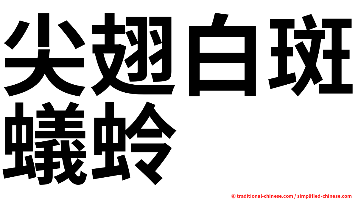 尖翅白斑蟻蛉
