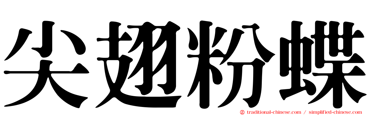 尖翅粉蝶