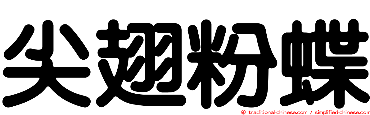 尖翅粉蝶