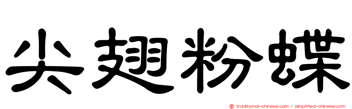 尖翅粉蝶