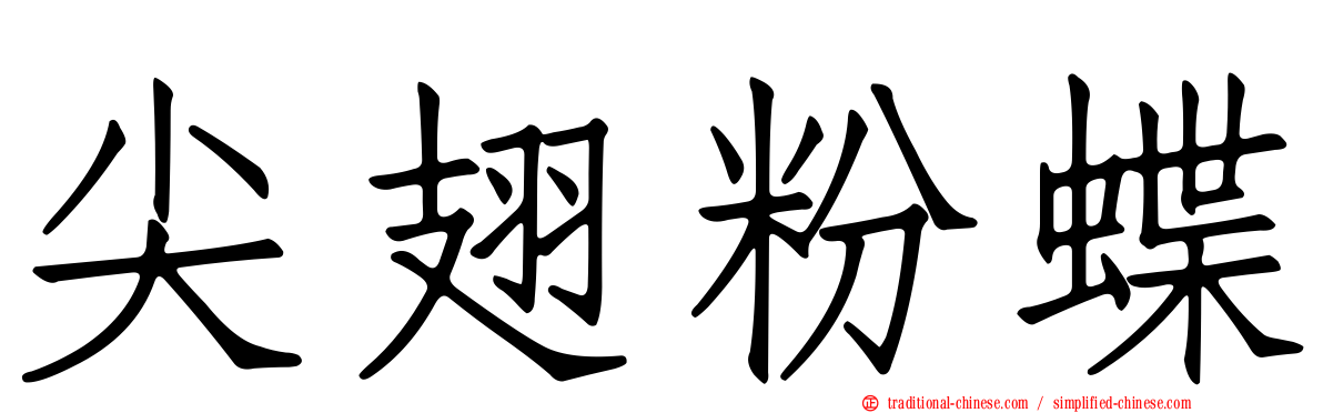 尖翅粉蝶