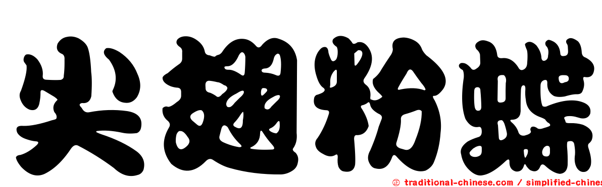 尖翅粉蝶