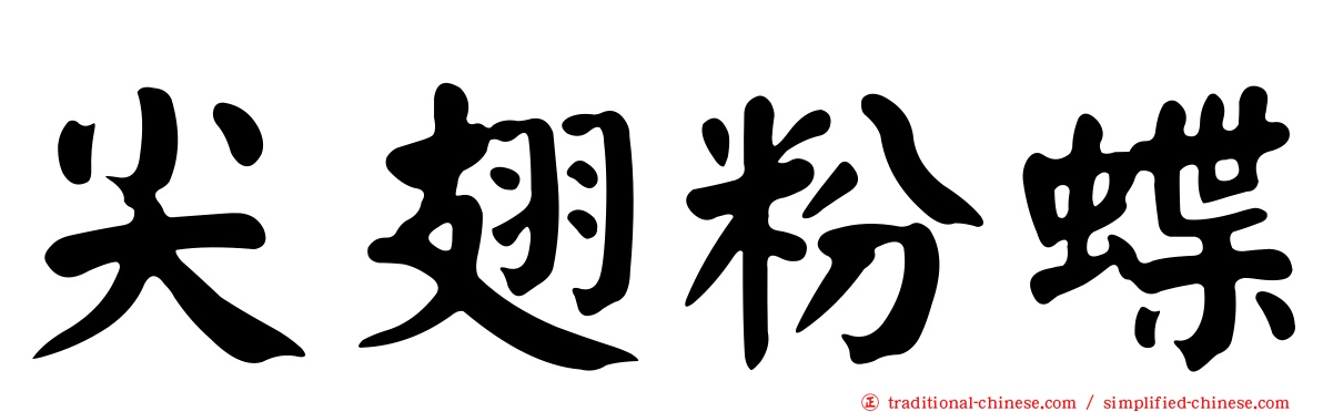 尖翅粉蝶