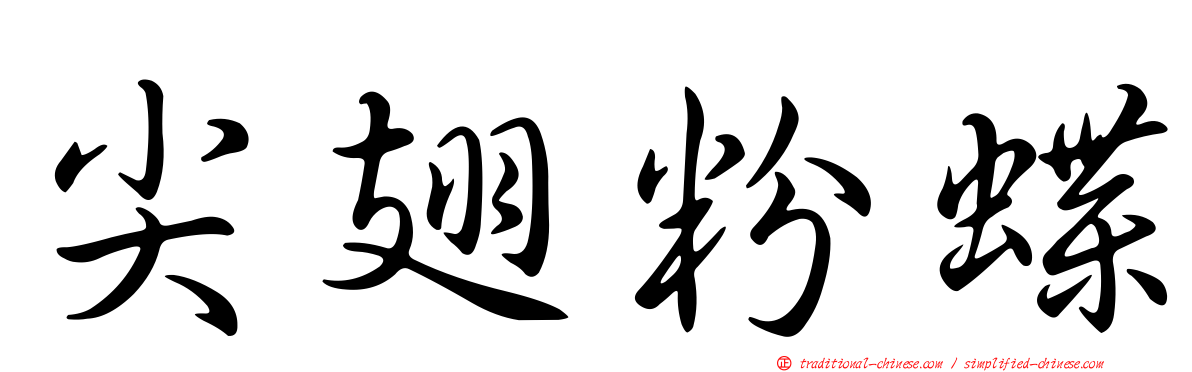 尖翅粉蝶