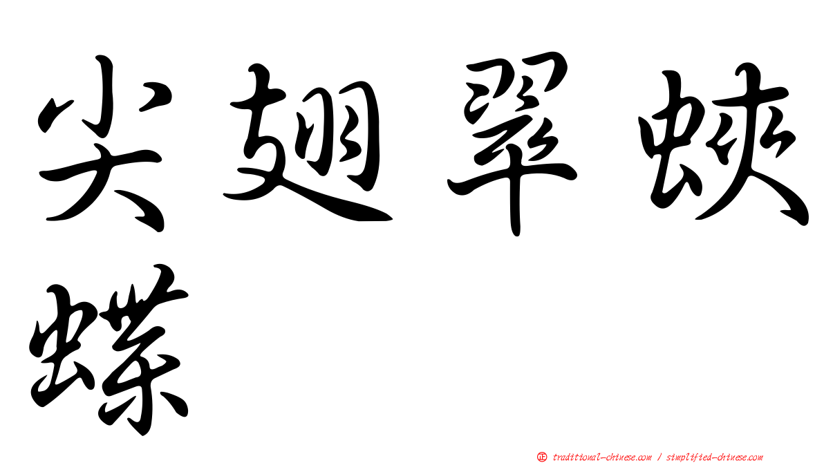 尖翅翠蛺蝶