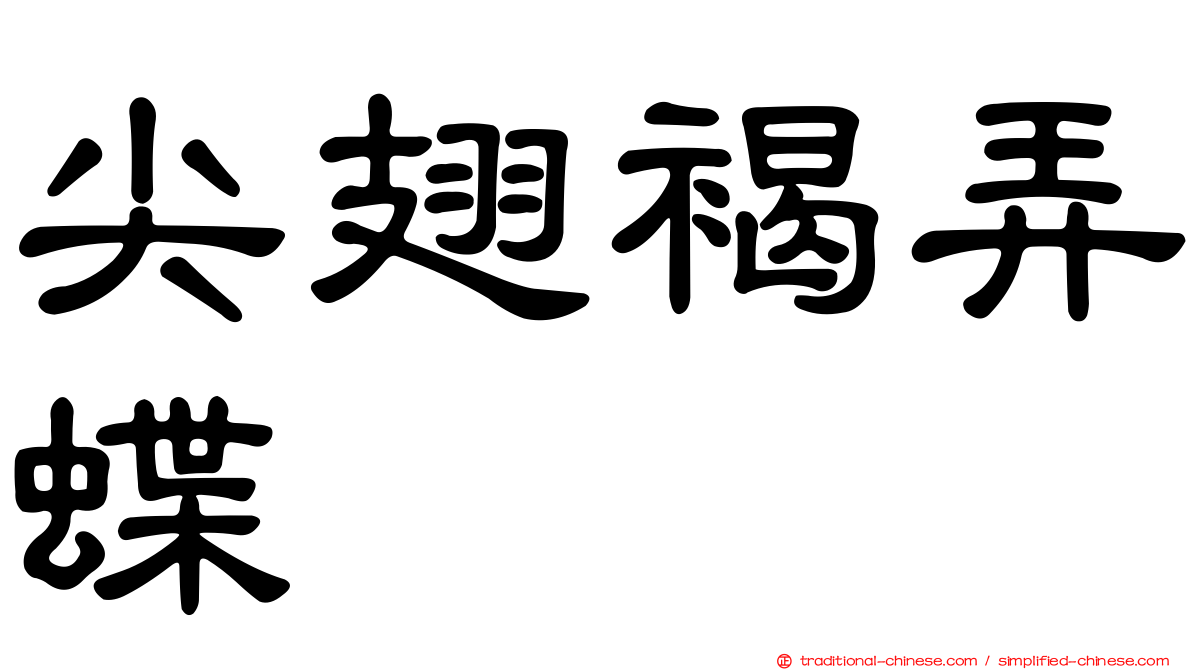 尖翅褐弄蝶