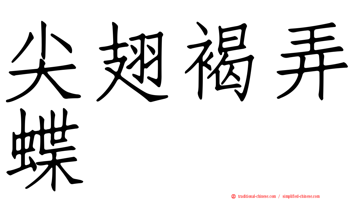 尖翅褐弄蝶
