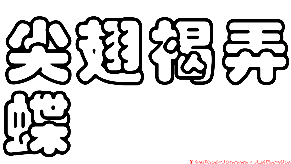 尖翅褐弄蝶